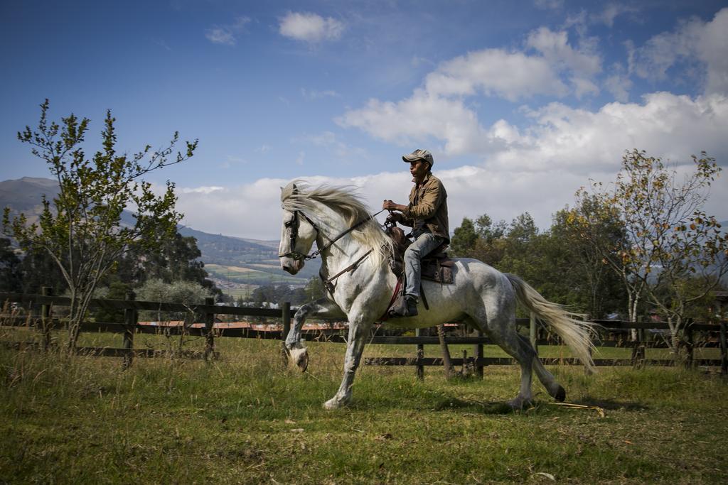 Hacienda Hosteria San Luis Cayambe Eksteriør billede
