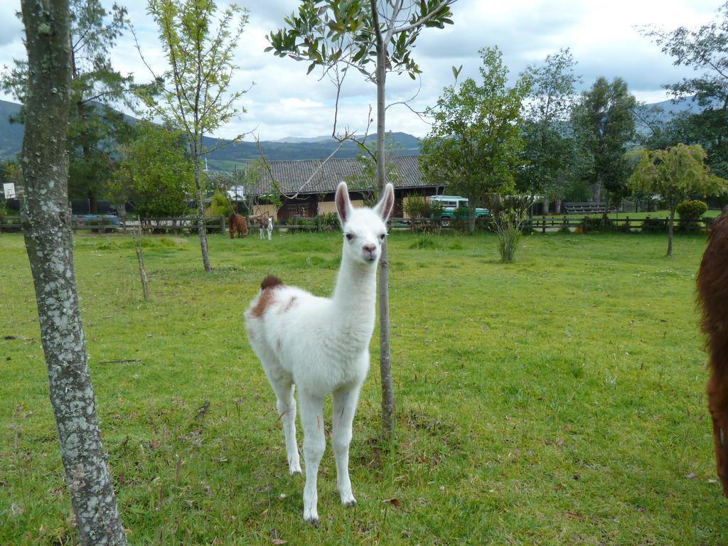 Hacienda Hosteria San Luis Cayambe Eksteriør billede