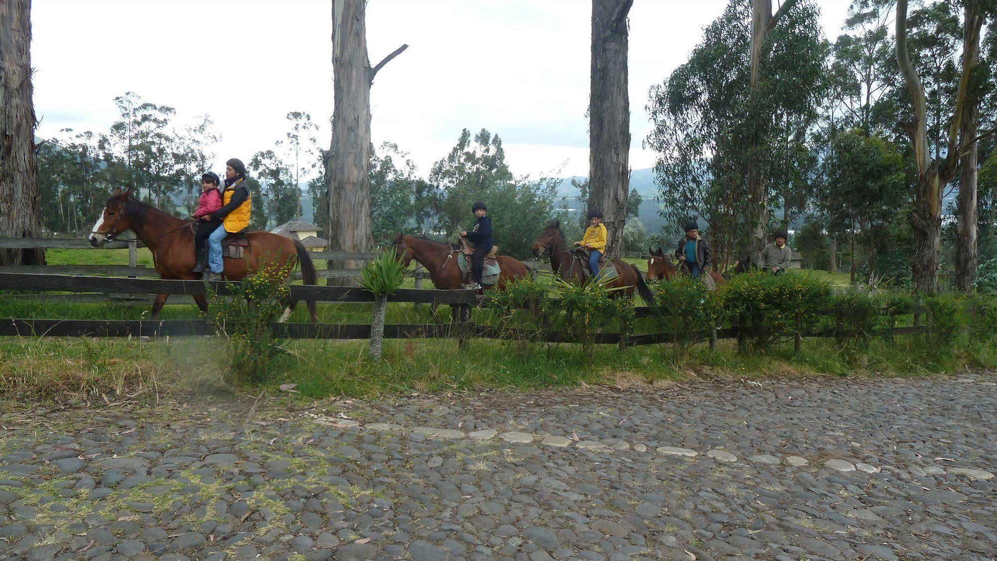 Hacienda Hosteria San Luis Cayambe Eksteriør billede